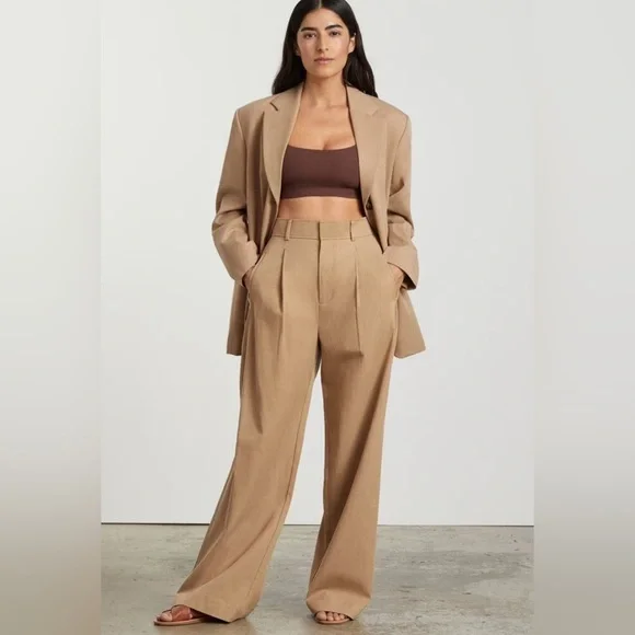 Everlane The Way-High Drape Pant Ash Brown Size 2 Short - Picture 2 of 11
